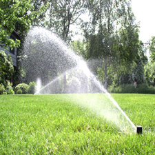 Irrigation Sprinklers