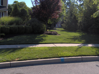 Lawn Fertilization