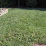 Lawn Aeration